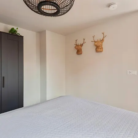 Short At 68a * זנדוורט