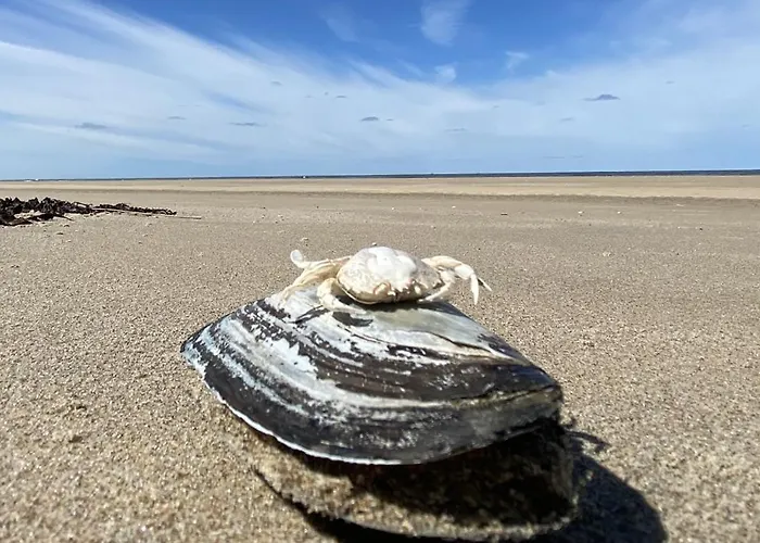 Short At 68a アパート *